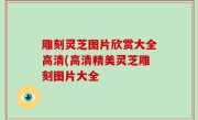 雕刻灵芝图片欣赏大全高清(高清精美灵芝雕刻图片大全