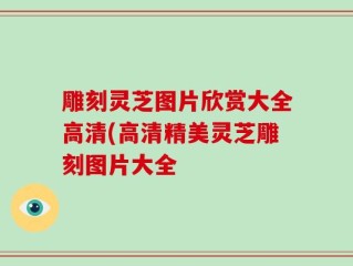 雕刻灵芝图片欣赏大全高清(高清精美灵芝雕刻图片大全