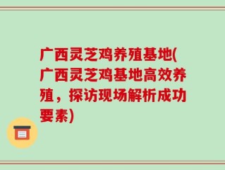 广西灵芝鸡养殖基地(广西灵芝鸡基地高效养殖，探访现场解析成功要素)