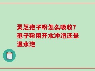 灵芝孢子粉怎么吸收？孢子粉用开水冲泡还是温水泡