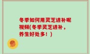 冬季如何用灵芝进补呢视频(冬季灵芝进补，养生好处多！)