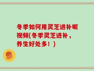 冬季如何用灵芝进补呢视频(冬季灵芝进补，养生好处多！)