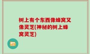 树上有个东西像蜂窝又像灵芝(神秘的树上蜂窝灵芝)