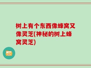 树上有个东西像蜂窝又像灵芝(神秘的树上蜂窝灵芝)