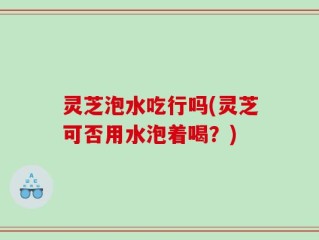 灵芝泡水吃行吗(灵芝可否用水泡着喝？)