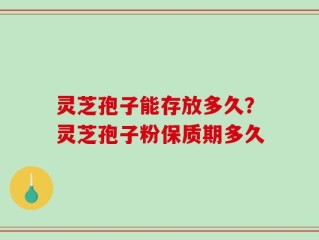 灵芝孢子能存放多久？灵芝孢子粉保质期多久