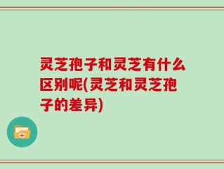 灵芝孢子和灵芝有什么区别呢(灵芝和灵芝孢子的差异)