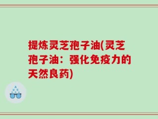 提炼灵芝孢子油(灵芝孢子油：强化免疫力的天然良药)
