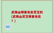 武夷山哪里有卖灵芝的(武夷山灵芝哪里有卖？)