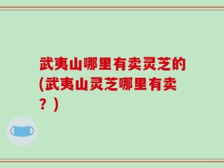 武夷山哪里有卖灵芝的(武夷山灵芝哪里有卖？)