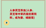 人参灵芝养虫(人参、灵芝等中草药是优质饲料，成为蚕、蛾新宠)