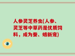 人参灵芝养虫(人参、灵芝等中草药是优质饲料，成为蚕、蛾新宠)