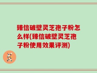 臻信破壁灵芝孢子粉怎么样(臻信破壁灵芝孢子粉使用效果评测)