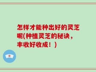 怎样才能种出好的灵芝呢(种植灵芝的秘诀，丰收好收成！)