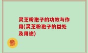 灵芝粉孢子的功效与作用(灵芝粉孢子的益处及用途)