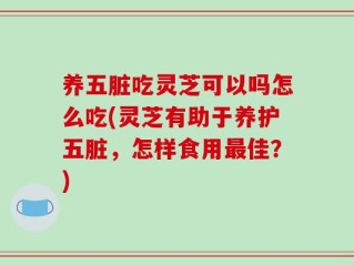 养五脏吃灵芝可以吗怎么吃(灵芝有助于养护五脏，怎样食用最佳？)