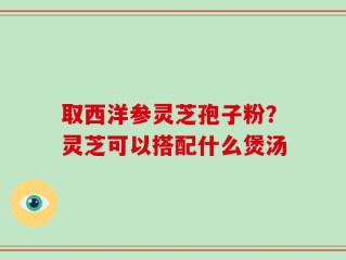 取西洋参灵芝孢子粉？灵芝可以搭配什么煲汤
