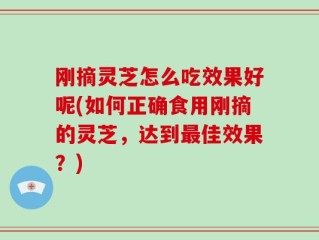 刚摘灵芝怎么吃效果好呢(如何正确食用刚摘的灵芝，达到最佳效果？)