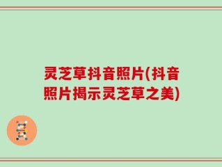 灵芝草抖音照片(抖音照片揭示灵芝草之美)