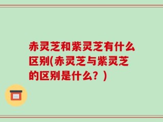 赤灵芝和紫灵芝有什么区别(赤灵芝与紫灵芝的区别是什么？)