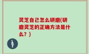 灵芝自己怎么研磨(研磨灵芝的正确方法是什么？)