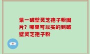 紫一破壁灵芝孢子粉图片？哪里可以买的到破壁灵芝孢子粉