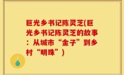 巨光乡书记陈灵芝(巨光乡书记陈灵芝的故事：从城市“金子”到乡村“明珠”)