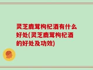 灵芝鹿茸枸杞酒有什么好处(灵芝鹿茸枸杞酒的好处及功效)