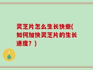 灵芝片怎么生长快些(如何加快灵芝片的生长速度？)