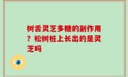 树舌灵芝多糖的副作用？松树桩上长出的是灵芝吗