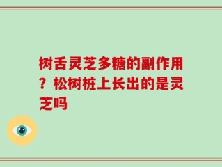 树舌灵芝多糖的副作用？松树桩上长出的是灵芝吗
