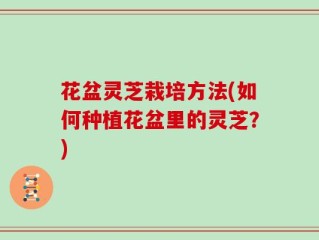 花盆灵芝栽培方法(如何种植花盆里的灵芝？)