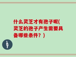 什么灵芝才有孢子呢(灵芝的孢子产生需要具备哪些条件？)