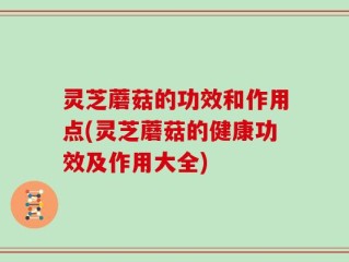 灵芝蘑菇的功效和作用点(灵芝蘑菇的健康功效及作用大全)