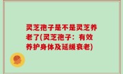 灵芝孢子是不是灵芝养老了(灵芝孢子：有效养护身体及延缓衰老)