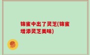 锦蜜中出了灵芝(锦蜜增添灵芝美味)