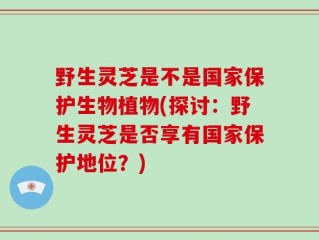 野生灵芝是不是国家保护生物植物(探讨：野生灵芝是否享有国家保护地位？)