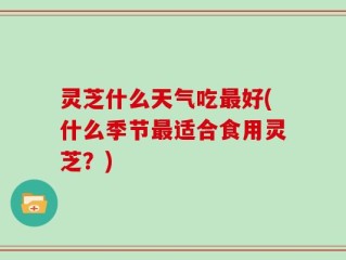 灵芝什么天气吃最好(什么季节最适合食用灵芝？)