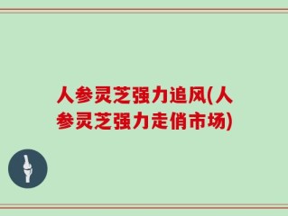 人参灵芝强力追风(人参灵芝强力走俏市场)