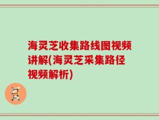 海灵芝收集路线图视频讲解(海灵芝采集路径视频解析)