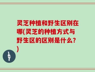 灵芝种植和野生区别在哪(灵芝的种植方式与野生区的区别是什么？)