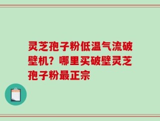 灵芝孢子粉低温气流破壁机？哪里买破壁灵芝孢子粉最正宗
