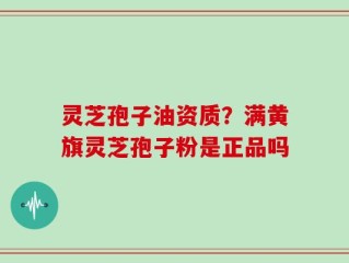 灵芝孢子油资质？满黄旗灵芝孢子粉是正品吗