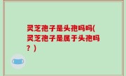 灵芝孢子是头孢吗吗(灵芝孢子是属于头孢吗？)