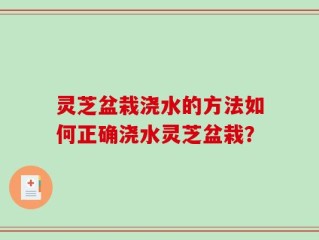 灵芝盆栽浇水的方法如何正确浇水灵芝盆栽？