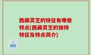 西藏灵芝的特征有哪些特点(西藏灵芝的独特特征及特点简介)
