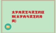 太岁肉灵芝与灵芝的区别(太岁肉与灵芝的异同)