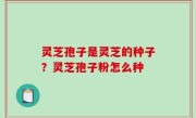 灵芝孢子是灵芝的种子？灵芝孢子粉怎么种