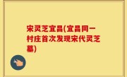 宋灵芝宜昌(宜昌同一村庄首次发现宋代灵芝墓)