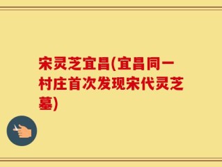 宋灵芝宜昌(宜昌同一村庄首次发现宋代灵芝墓)